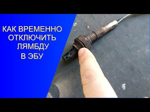 Принцип работы датчика кислорода