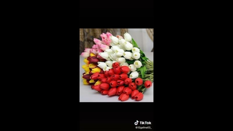 Популярные сорта цветов Лада Дэнс