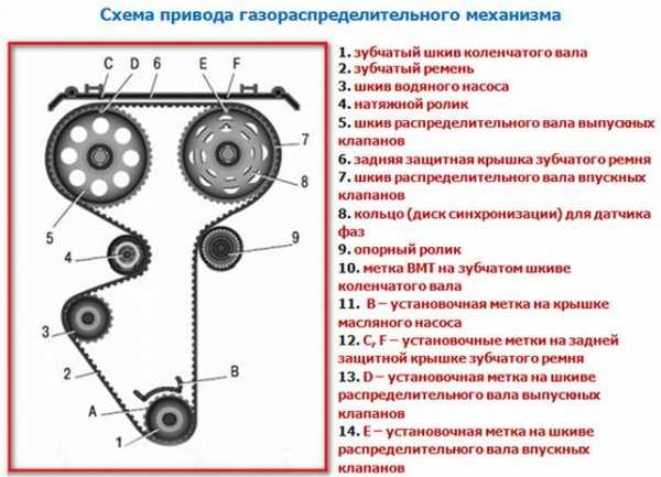 Инструкция по снятию и замене ремня генератора с роликом на Приоре с ГУР или кондиционером: простой и менее трудоемкий способ