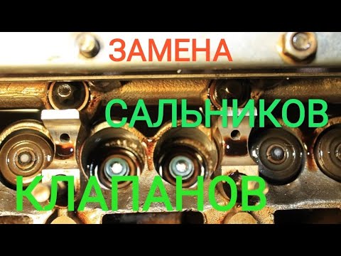 Подготовка