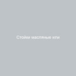 Стойки масляные или газомасляные какие лучше поставить на ВАЗ-2110